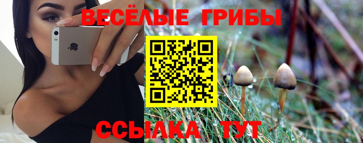 Псилоцибиновые грибы Psilocybe  Галлюциногенные грибы MAGIC MUSHROOMS  Вход с VPN  Кирово-Чепецк 